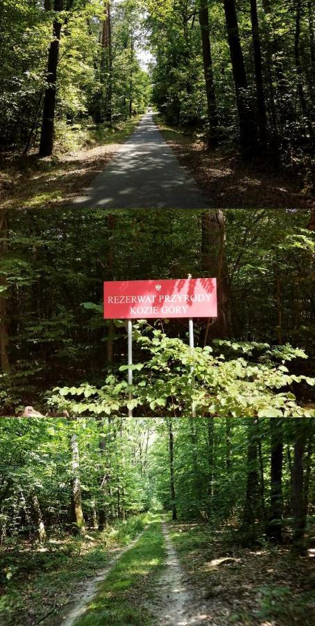 Agroturystyka U Izabelli Niemce Exteriér fotografie